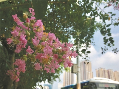 0911-7.jpg