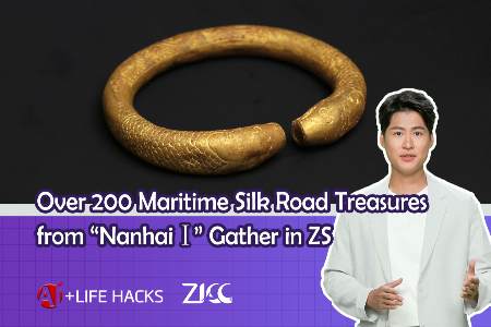 [AI+LIFE HACKS] MSR treasures from 'Nanhai I' gather in ZS