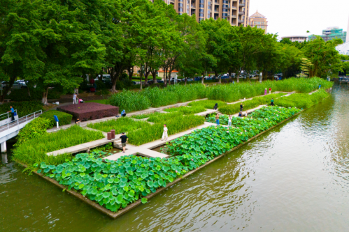 Discover Zhongshan's best lotus-viewing spots